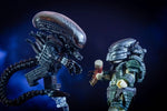 Pre-order Predator vs Alien